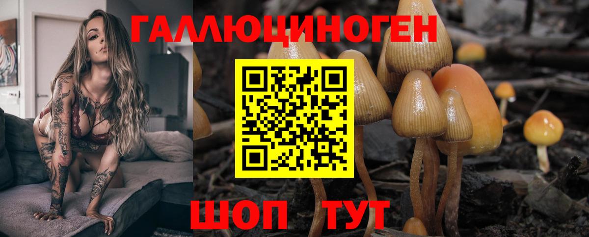 Псилоцибиновые грибы Psilocybine cubensis  Вход с VPN  Белгород 