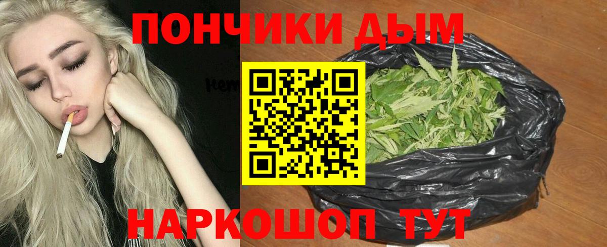 Бошки Шишки гибрид Белгород